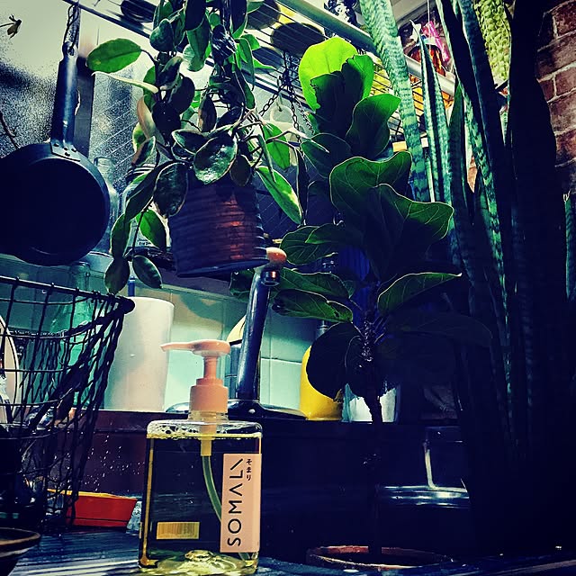 Naoki.さんの実例写真