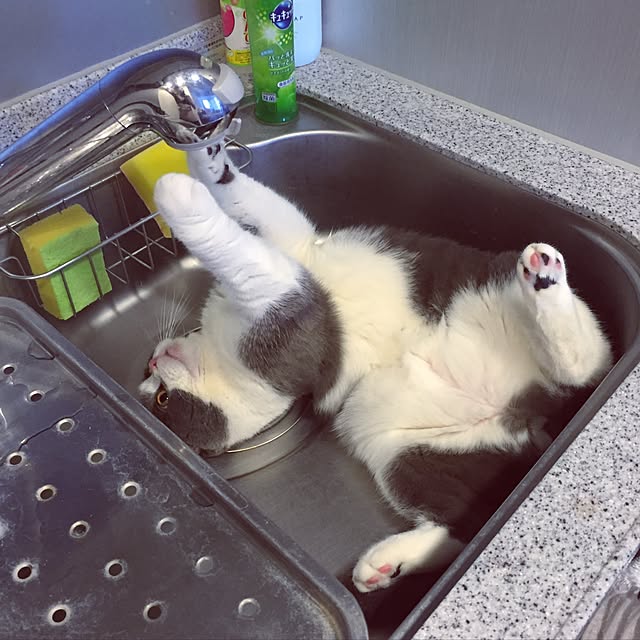 Yuriさんの実例写真