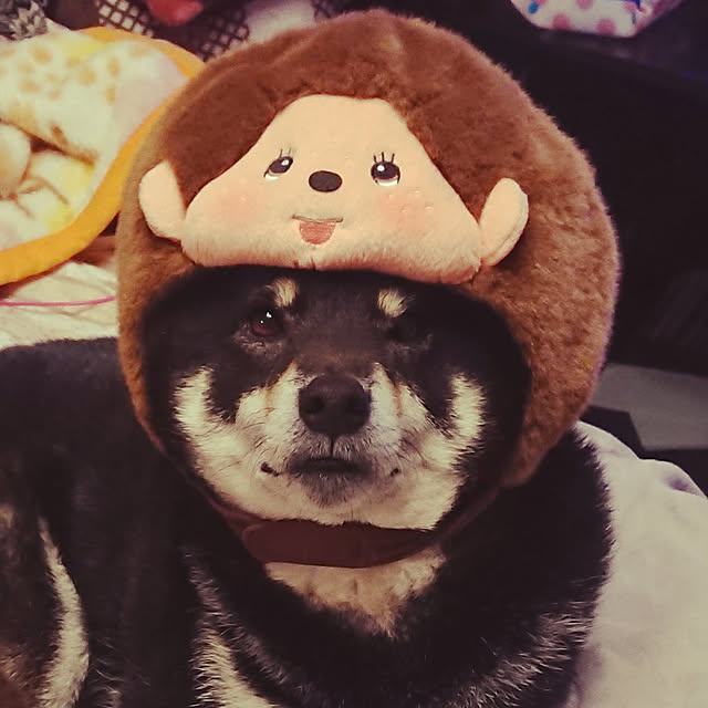 tsutawarimasuさんの実例写真