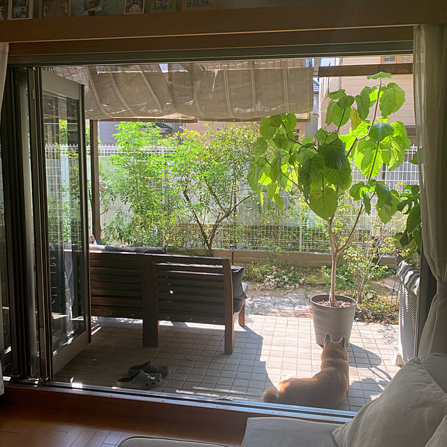 shizu2380さんの実例写真