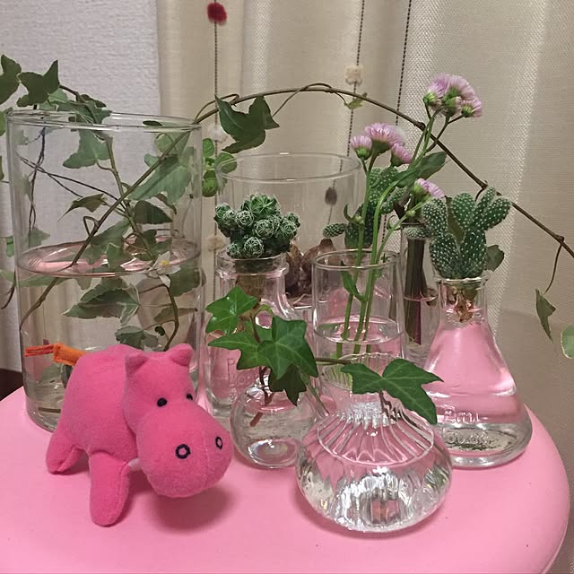 michiさんの実例写真