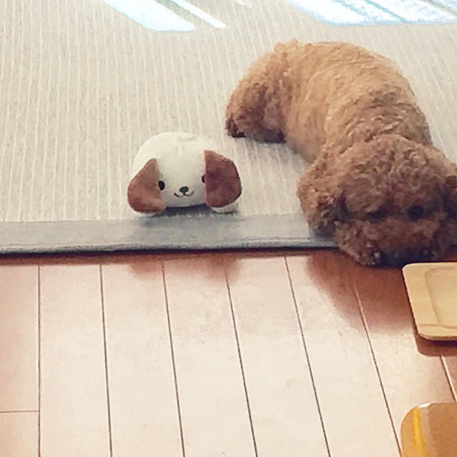 kazuさんの実例写真
