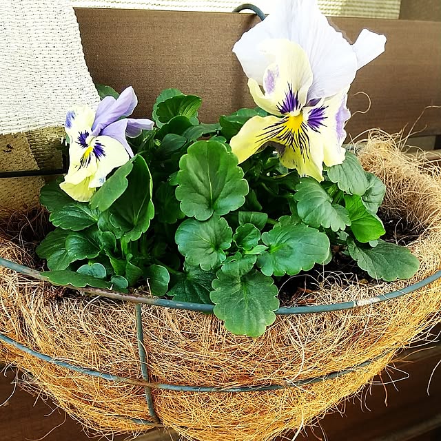 hanano087さんの部屋