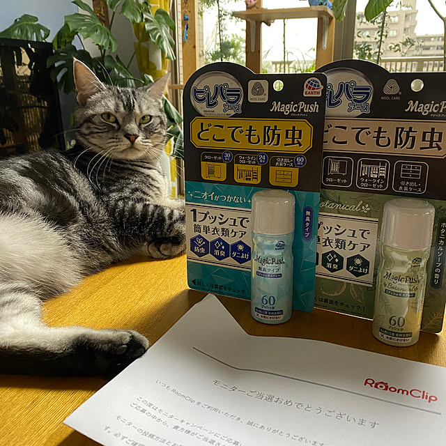 yuzuaoさんの実例写真