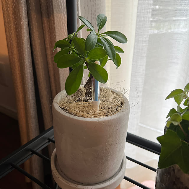 stさんの部屋