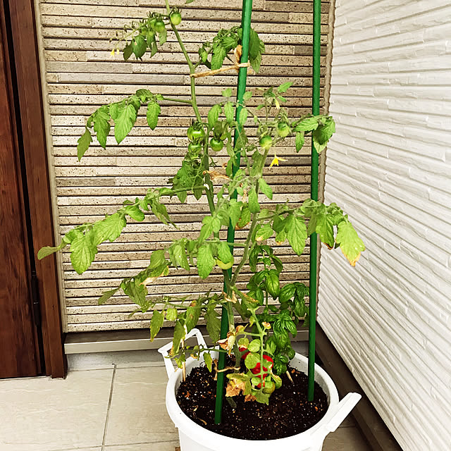 mamikoさんの実例写真