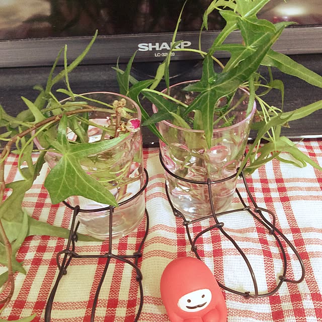 Setukoさんの実例写真
