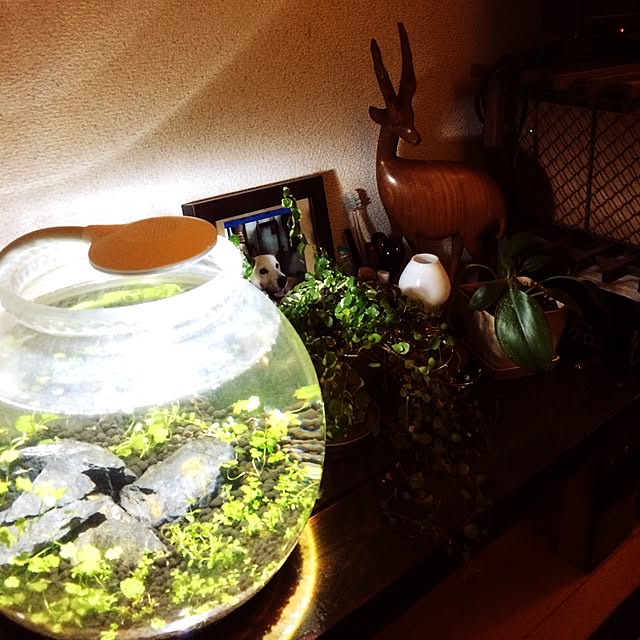 guchikoさんの実例写真