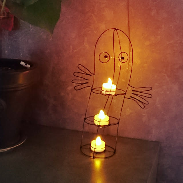 maiさんの実例写真