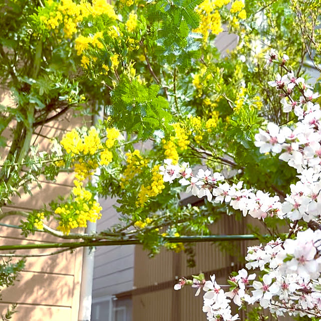 takakoさんの部屋