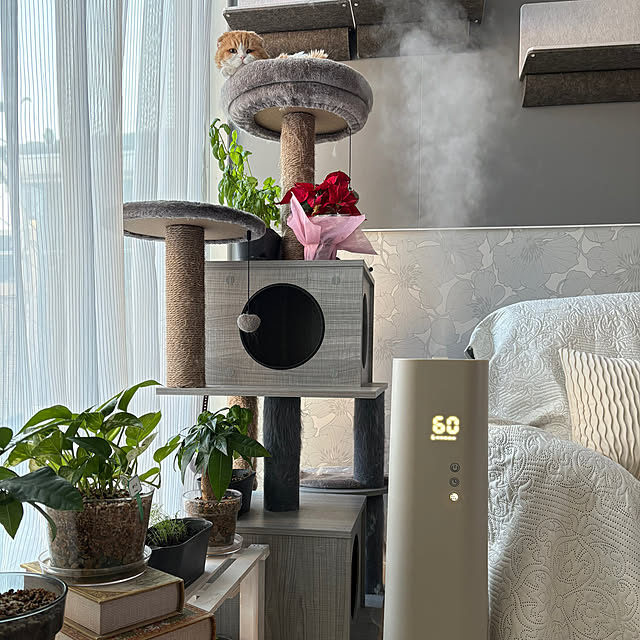 chachaharuloveさんの実例写真