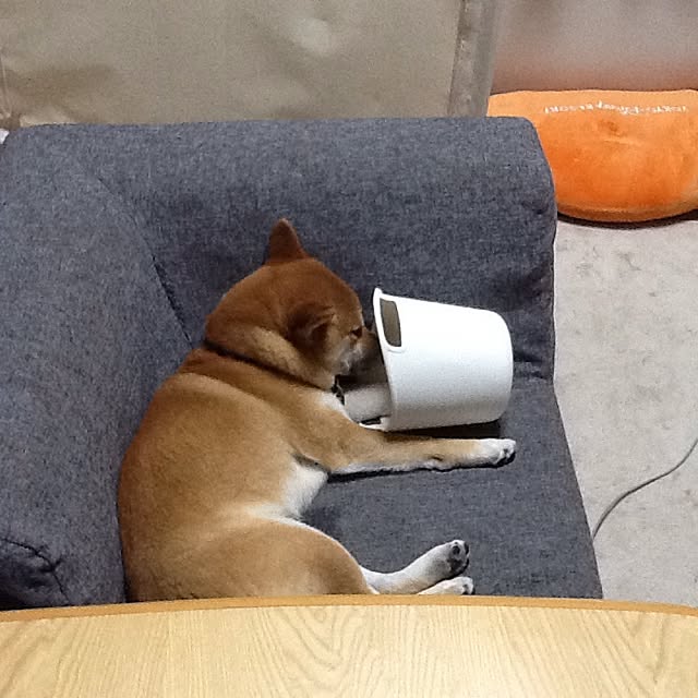 kotaさんの実例写真