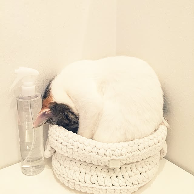 koumeさんの実例写真