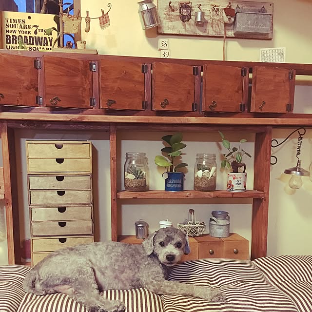korokoroさんの実例写真