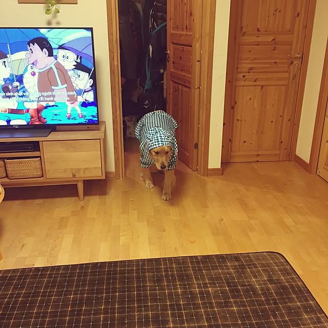 bigsunny0103さんの実例写真