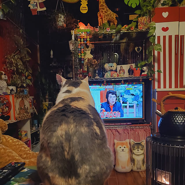 kumutanさんの実例写真