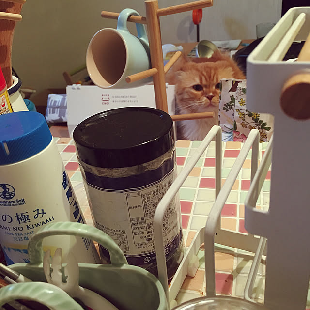 piyolandさんの実例写真