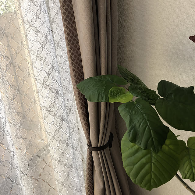 tamaharuさんの実例写真