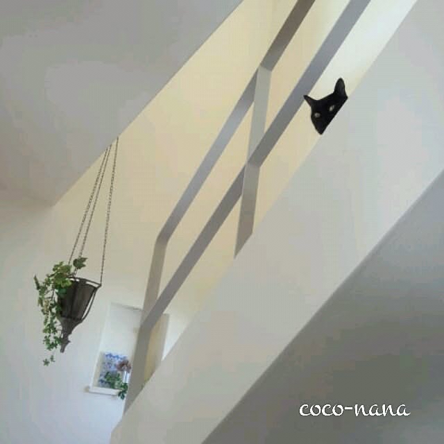 coconana165さんの実例写真