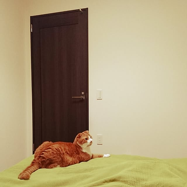 Sachiさんの実例写真