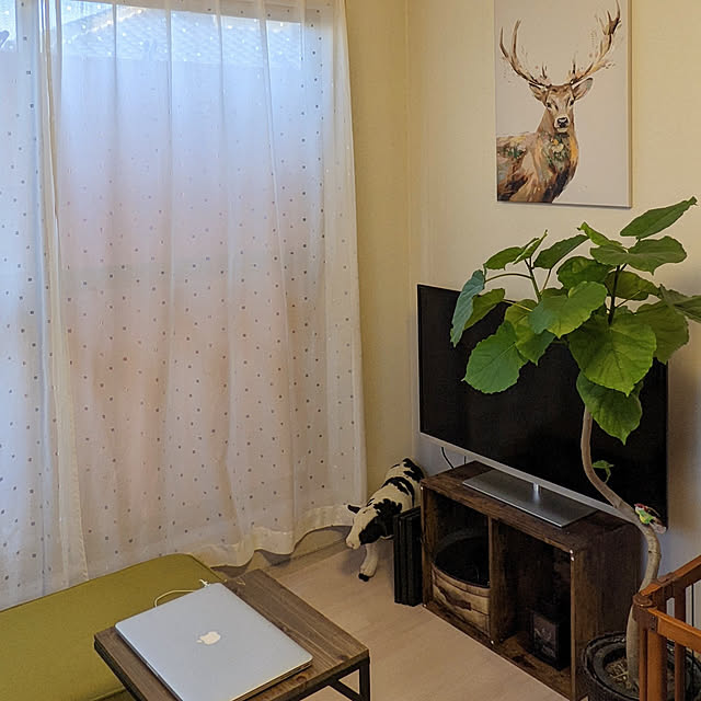 ナチュラル/観葉植物/IKEA/AwesomeStore/リビングのインテリア実例 - 2022-07-26 10:02:05