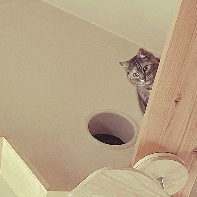 COCOさんの実例写真