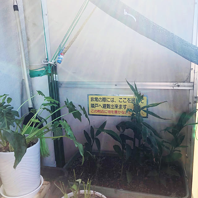 hanachanさんの部屋