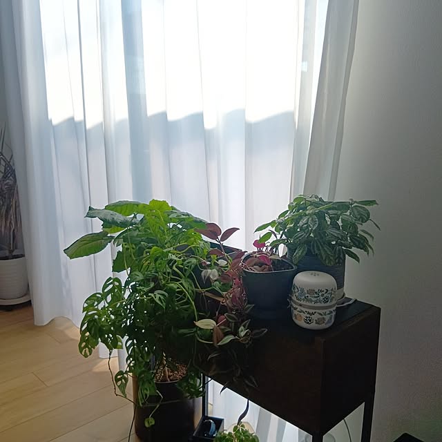 anmomaruさんの部屋