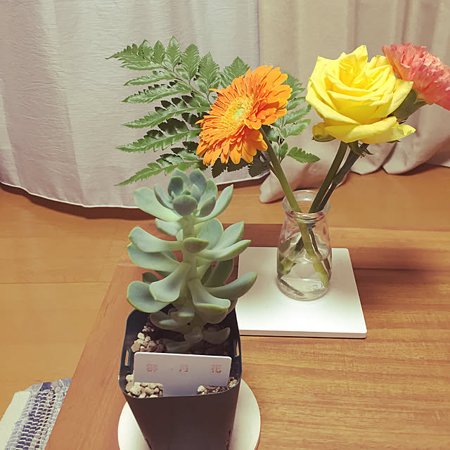 ate_yumiさんの実例写真