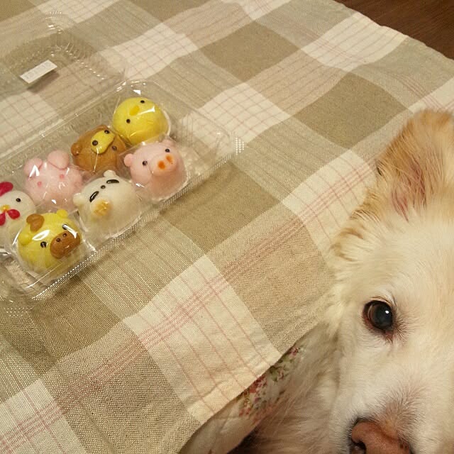 nonchanさんの実例写真