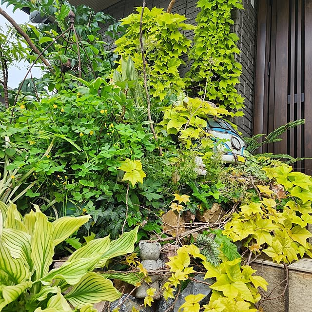 GreenHomeさんの部屋