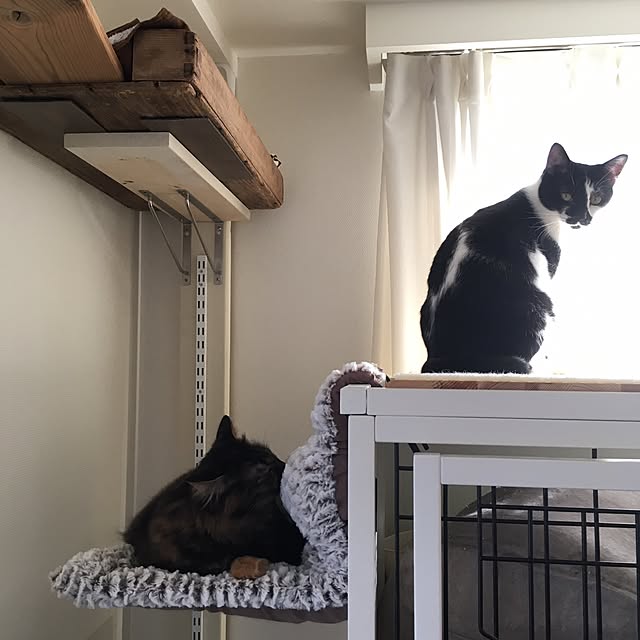mikomaruさんの実例写真