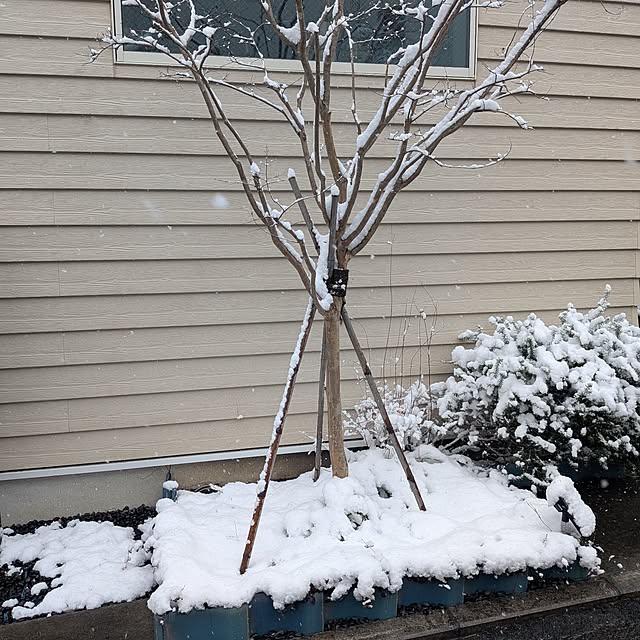 Maroさんの実例写真