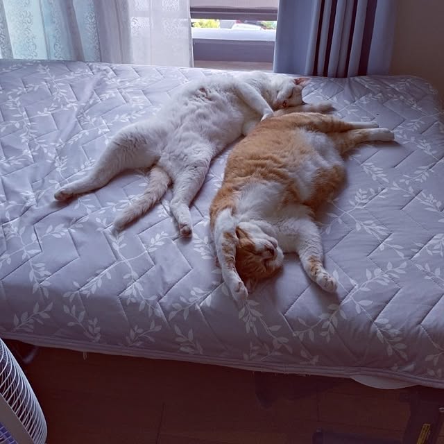 NOAHさんの部屋