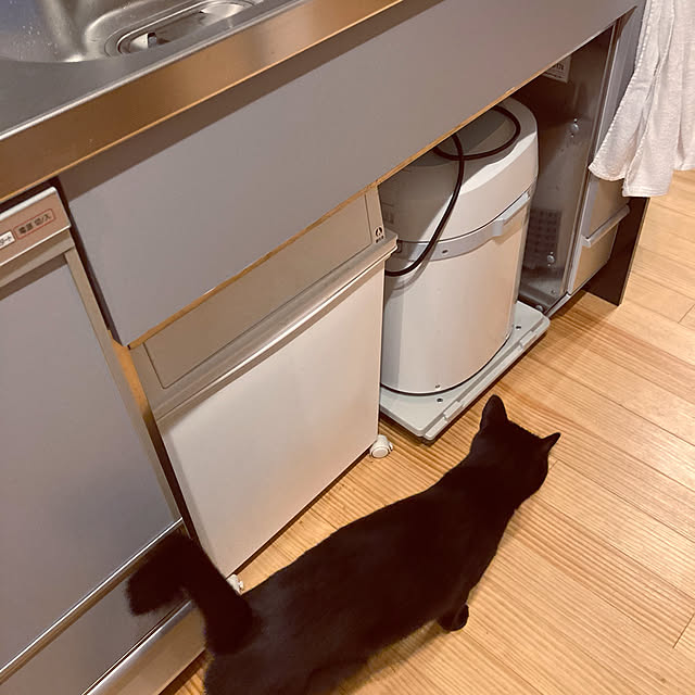 aruさんの実例写真