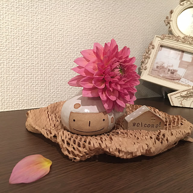 oggi1139さんの実例写真