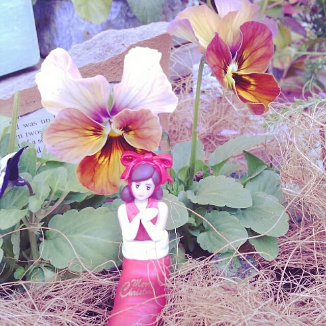 akr29さんの実例写真