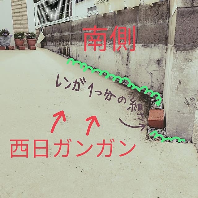 Naomiさんの実例写真
