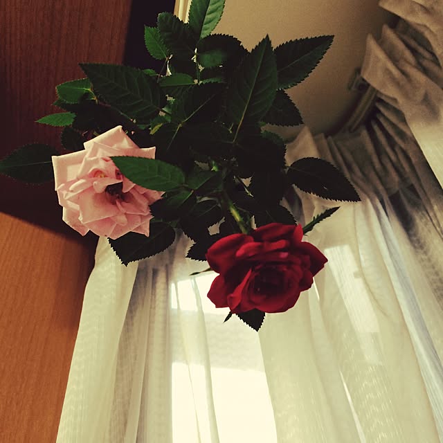 love.さんの実例写真