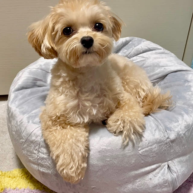 miyuさんの実例写真