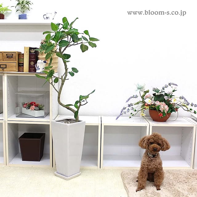 BloomingScapeさんの実例写真