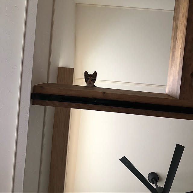 cheese-bitsさんの実例写真
