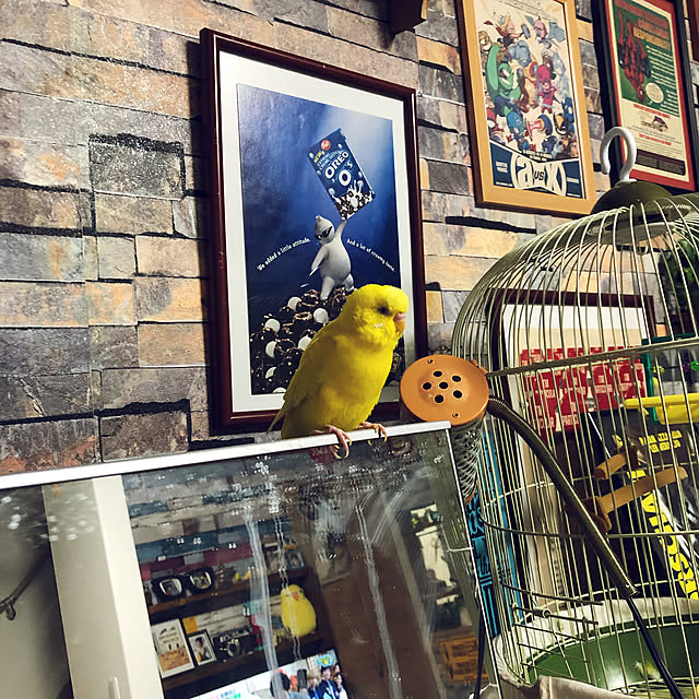 naotamaさんの実例写真