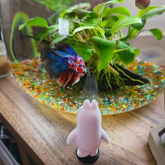 yuchaさんの実例写真