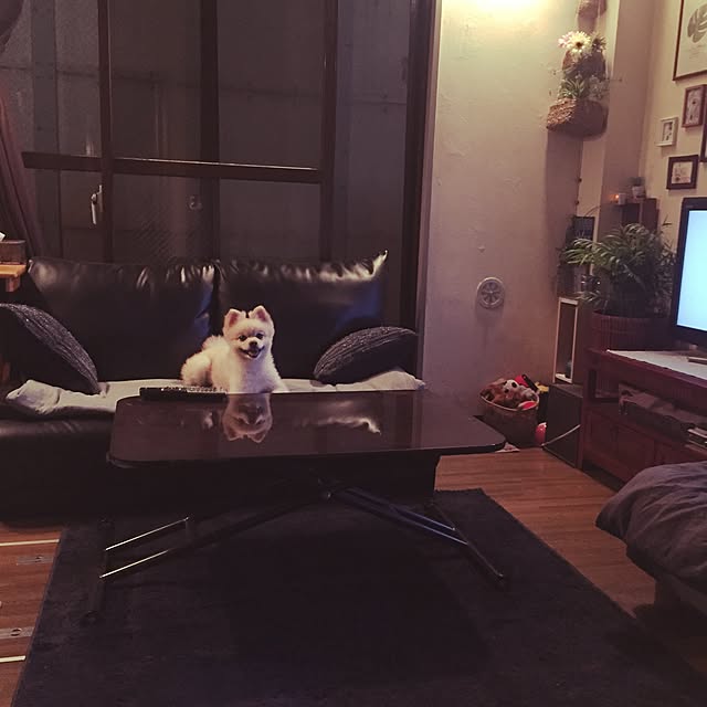sacchiさんの実例写真