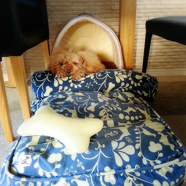 aimiさんの実例写真