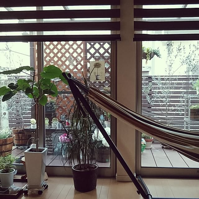 kuma56monさんの実例写真