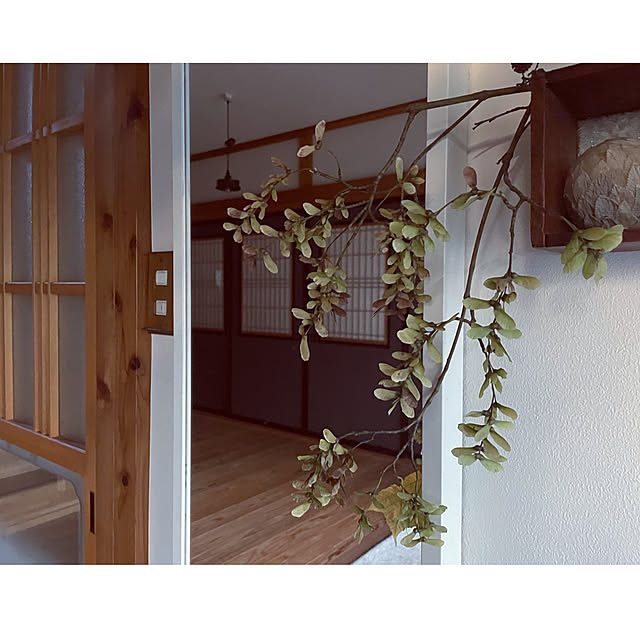 marucoさんの部屋