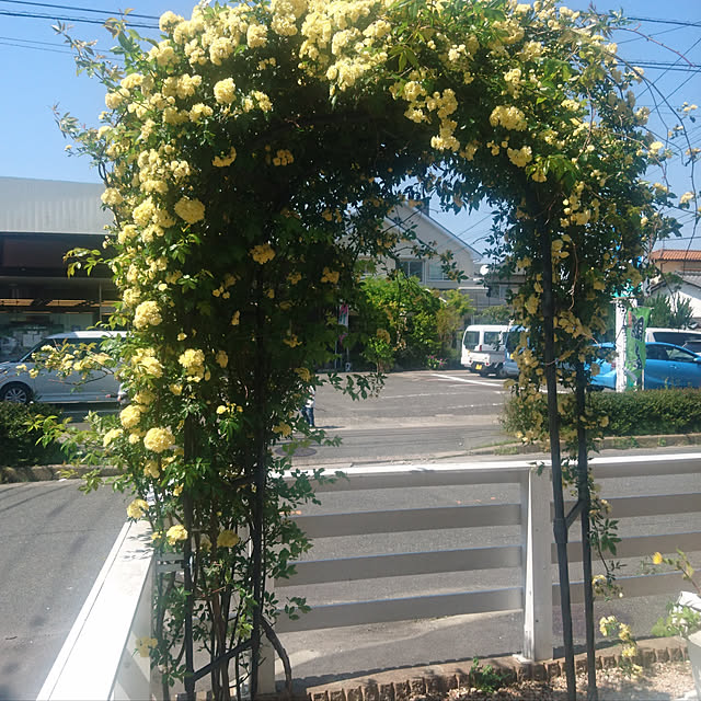 hamedaさんの実例写真