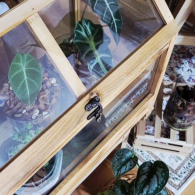 akiak.3さんの実例写真